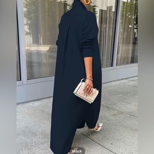 Passion Chic Button Down Classic Shirt Dress